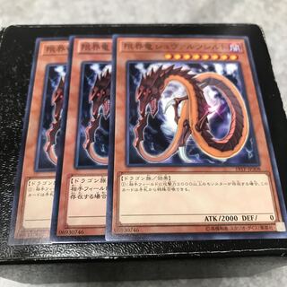 限界竜シュヴァルツシルト ノーマル3枚