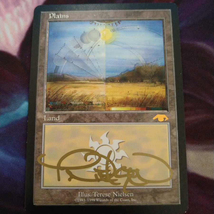 guruランド　平地　サインド