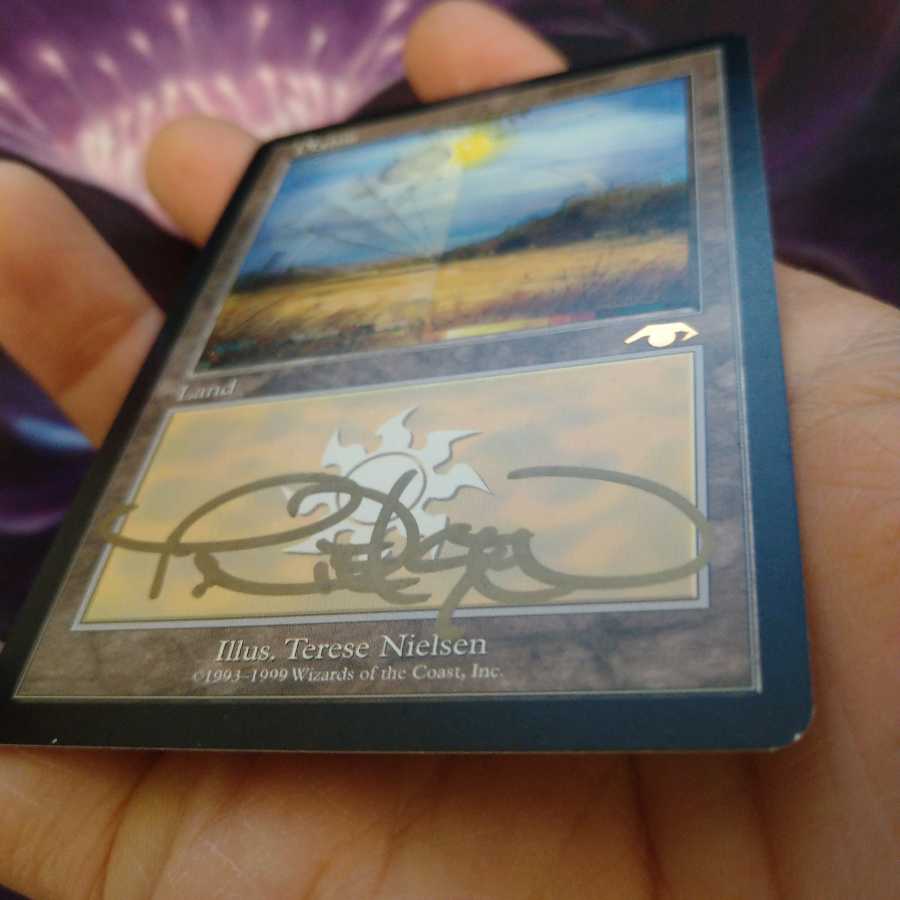 guruランド　平地　サインド