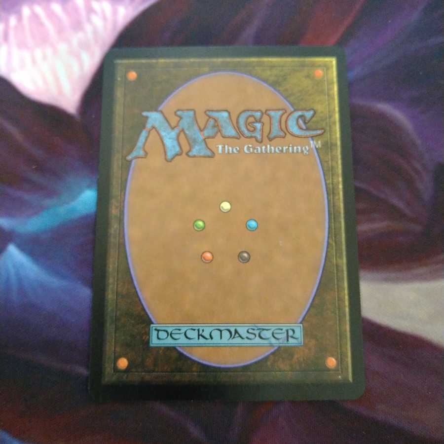 guruランド　平地　サインド