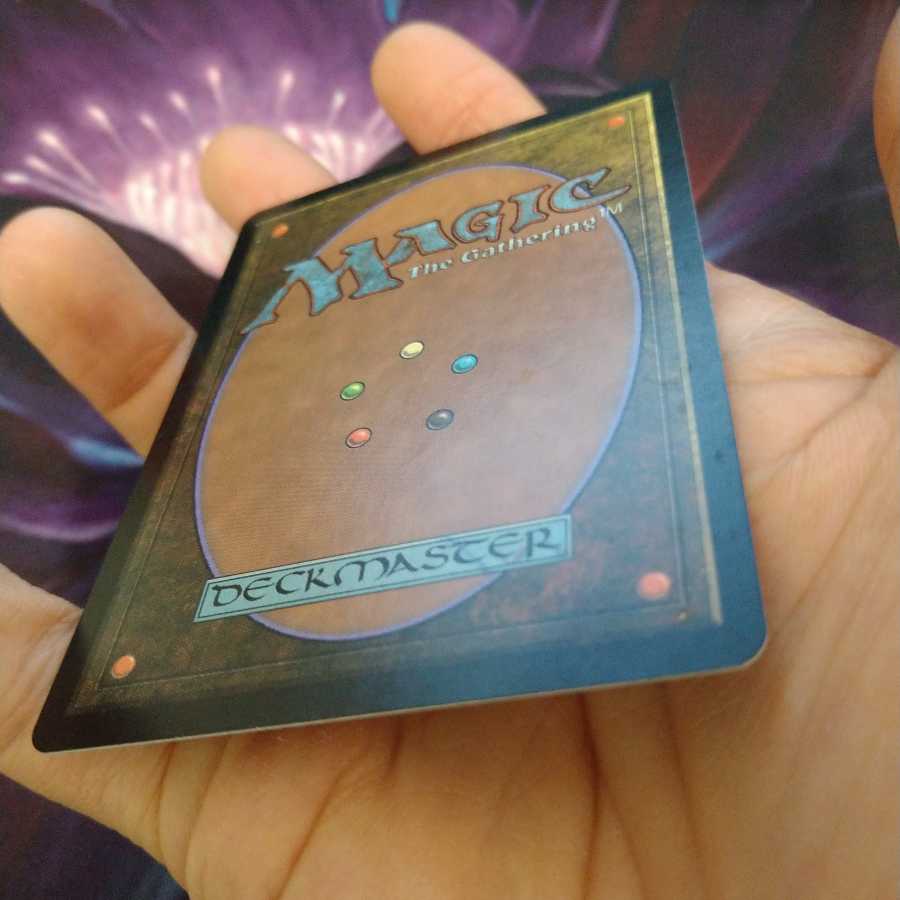 guruランド　平地　サインド