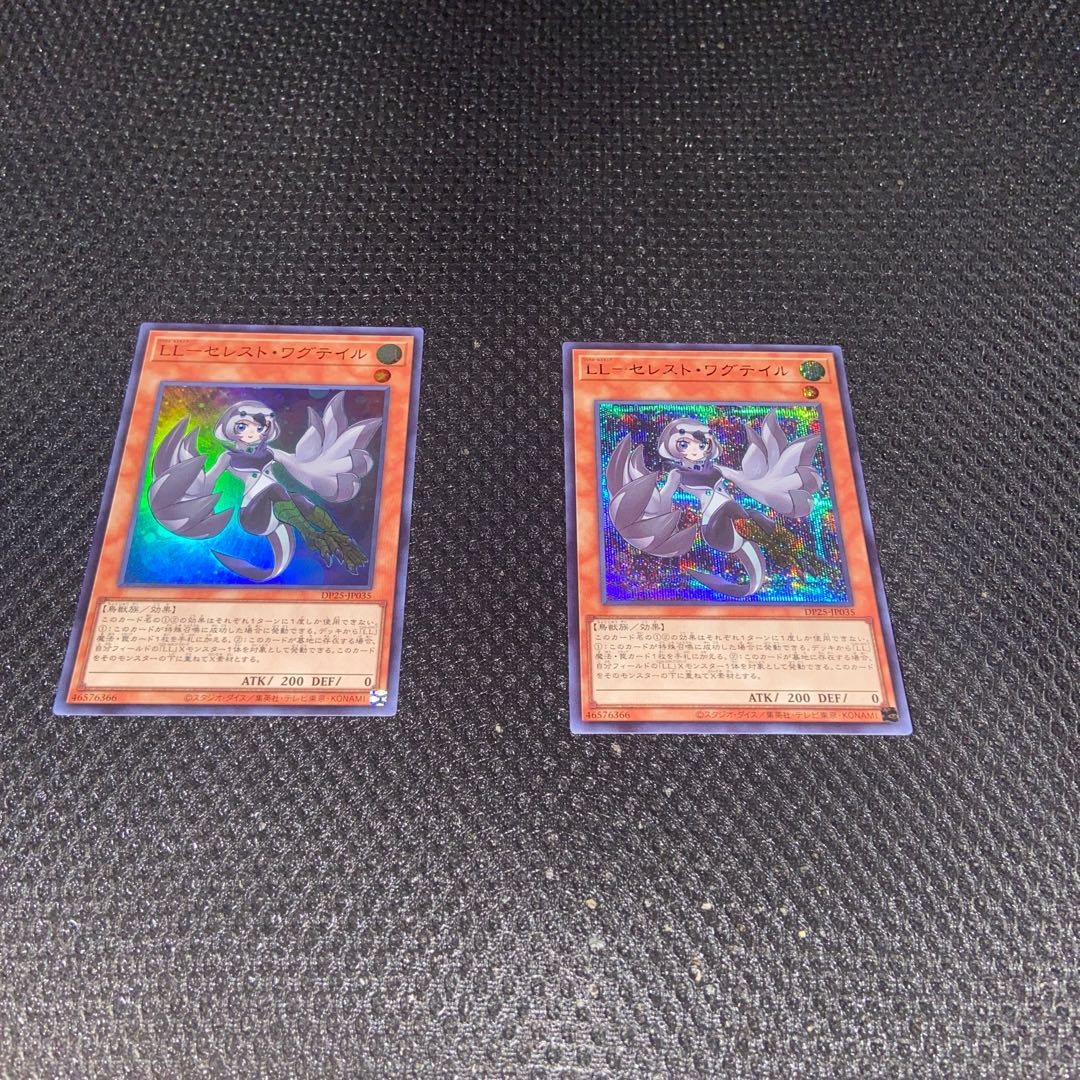 LL-セレスト・ワグテイル セット