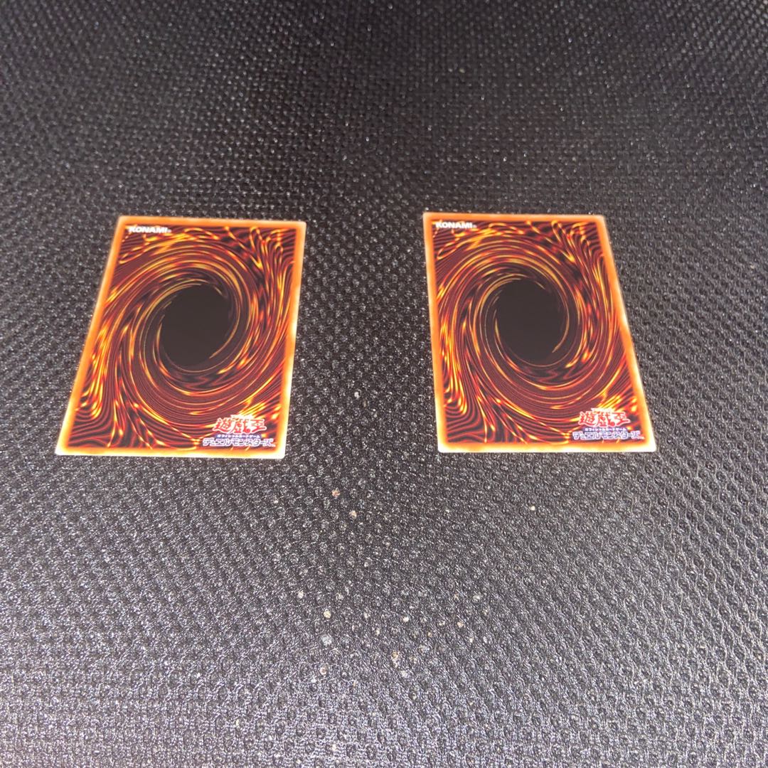 LL-セレスト・ワグテイル セット