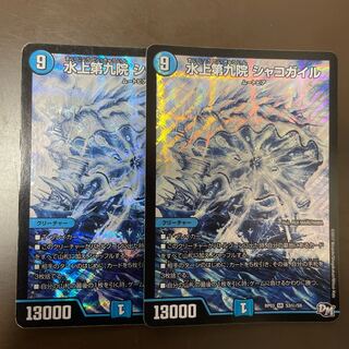 水上第九院 シャコガイル SE 2枚