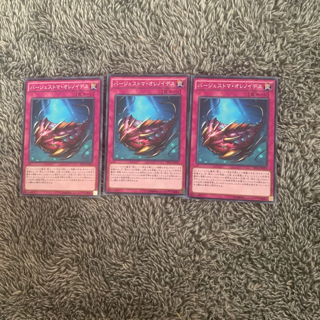 バージェストマ・オレノイデス ノーマル