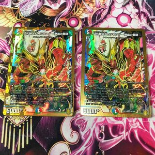 切札勝太&カツキング -熱血の物語- DSR 2枚