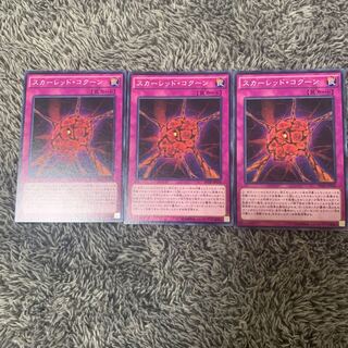 スカーレッド・コクーン ノーマル