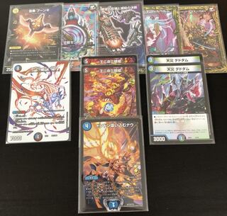 ヴィッケンさん専用