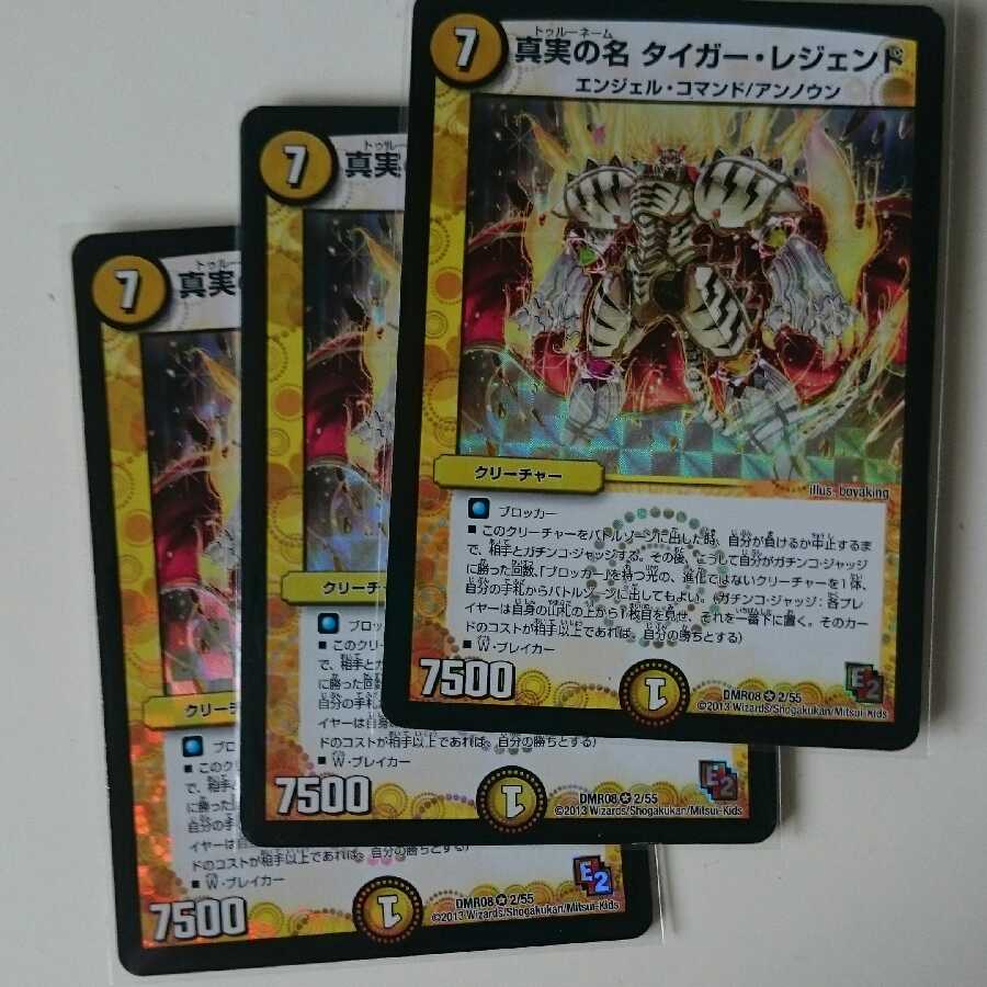 真実の名 タイガー・レジェンド