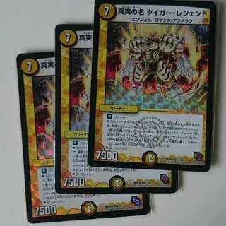 真実の名 タイガー・レジェンド