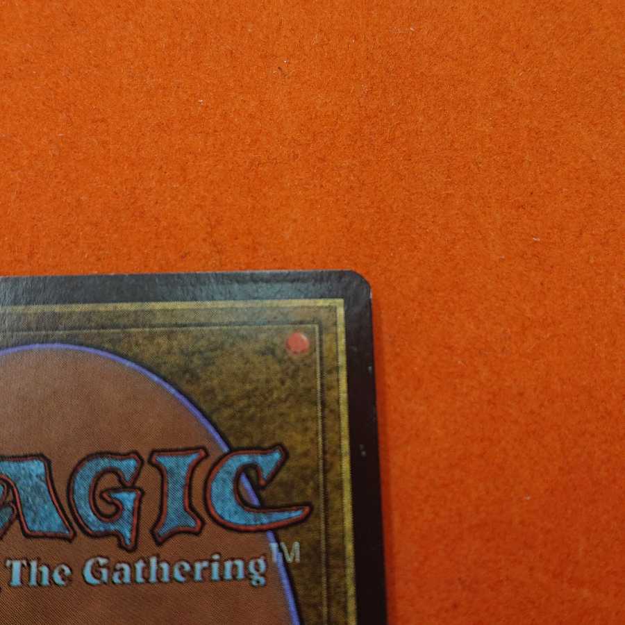 MTG2 Security Detail foil