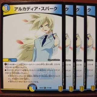 はるさん専用　セット割引　アルカディア・スパーク