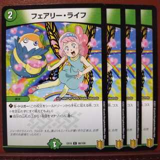 セット割引　フェアリー・ライフ