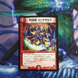 熱血龍メッタギルス