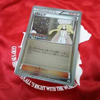 カトレア　PROMO