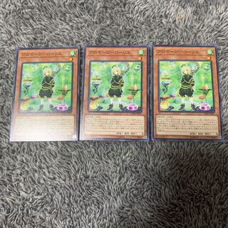 Aromage - Laurier Normal