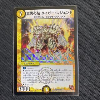 真実の名 タイガー・レジェンド