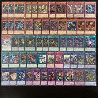 遊戯王 捕食植物 構築済みデッキ40枚+EX15枚