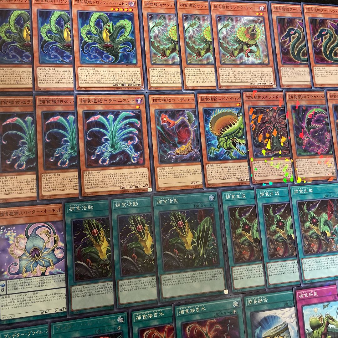 遊戯王 捕食植物 構築済みデッキ40枚+EX15枚