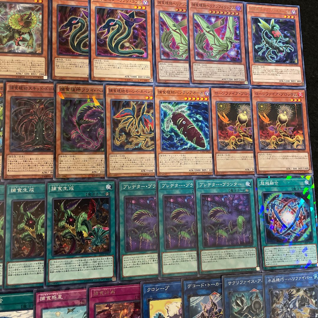 遊戯王 捕食植物 構築済みデッキ40枚+EX15枚