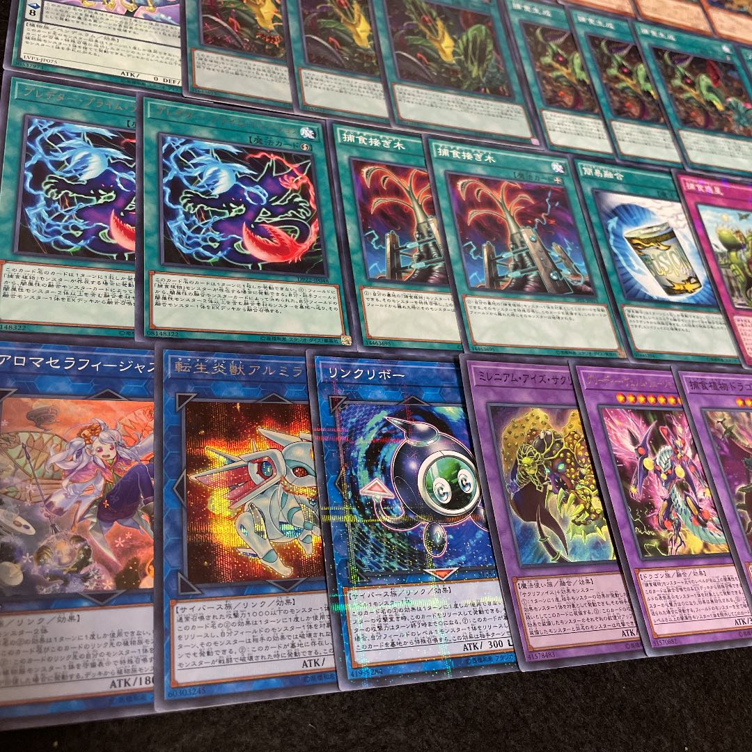 遊戯王 捕食植物 構築済みデッキ40枚+EX15枚