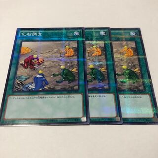 化石調査 パラレル ノーマル