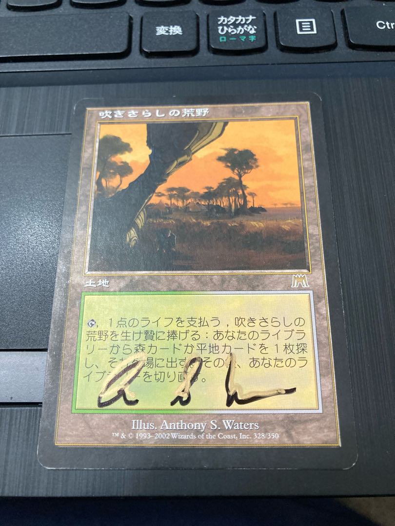 吹きさらしの荒野