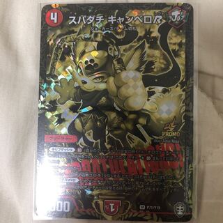 Spadati Canbero R SE