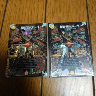 煌龍 サッヴァーク2枚セット