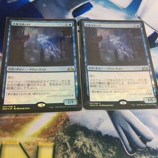 ナルコメーバ　foil