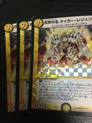 真実の名 タイガー・レジェンド VR