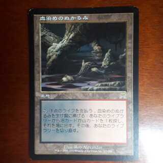 血染めのぬかるみ