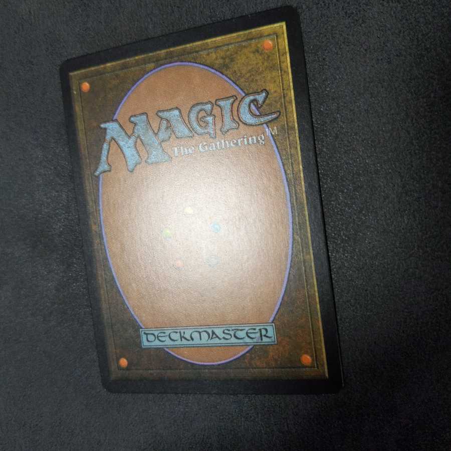 饗宴と飢餓の剣