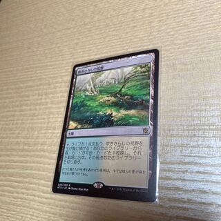 MTG タルキール覇王譚 吹きさらしの荒野 レア