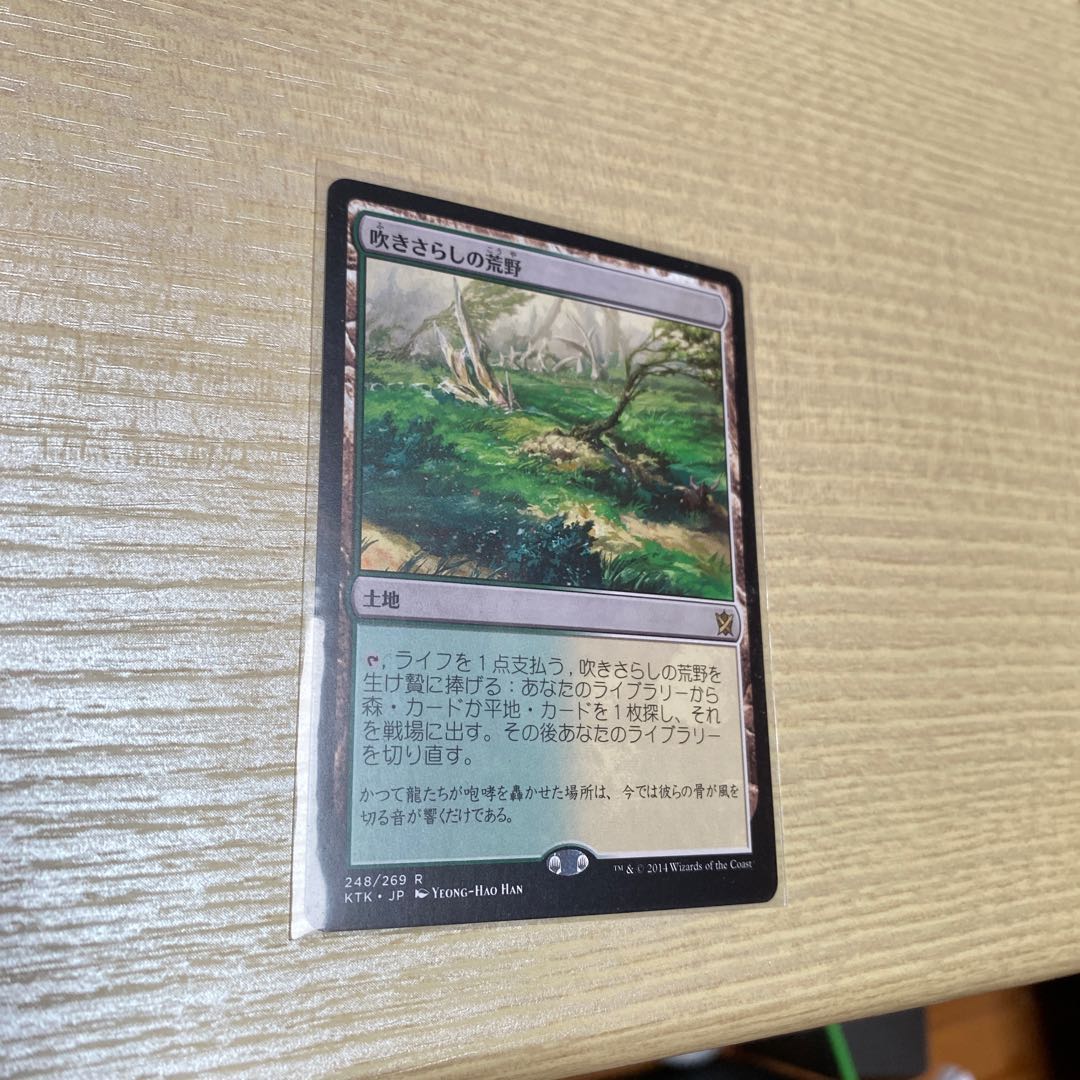 MTG タルキール覇王譚 吹きさらしの荒野 レア