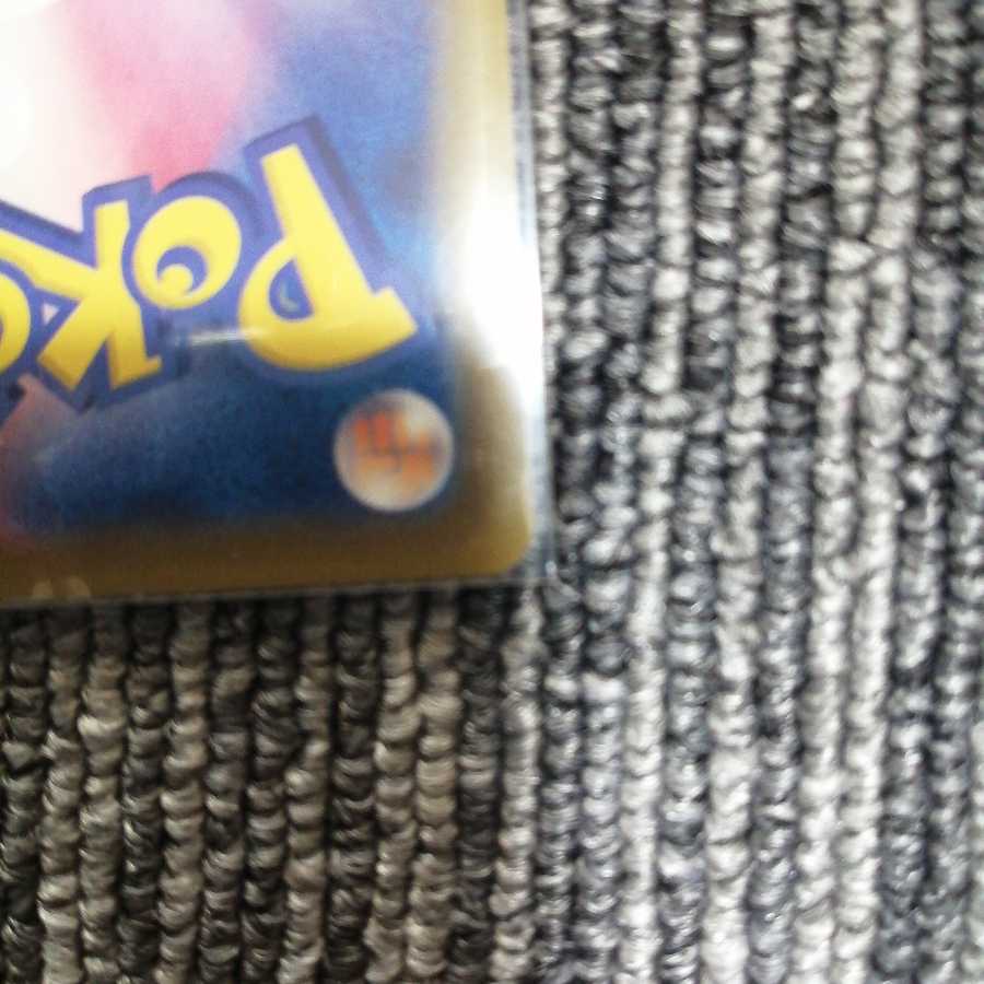 リーフィアV SR SA