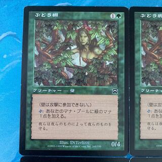 ★MTG 4 Vine Trellis 4枚