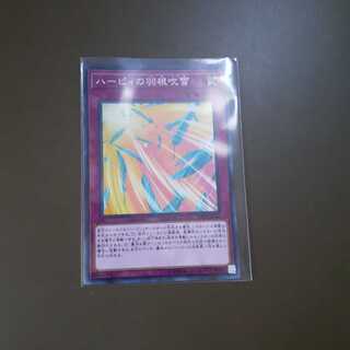 ハーピィの羽根帚 ノーマル