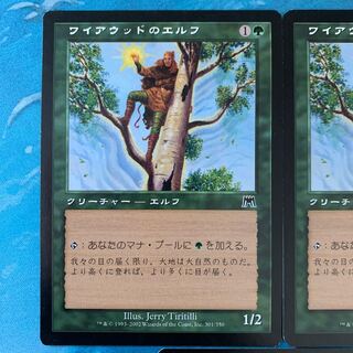 ★MTG 5 Wirewood Elf 5枚