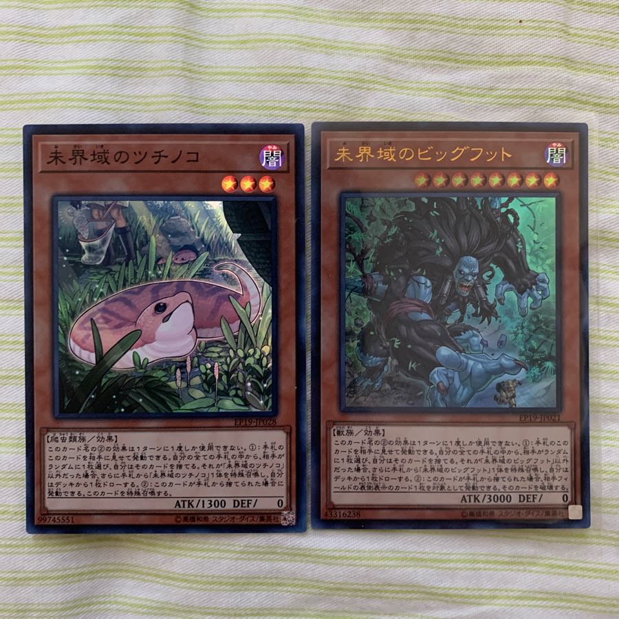 未界域のツチノコ・ビッグフット