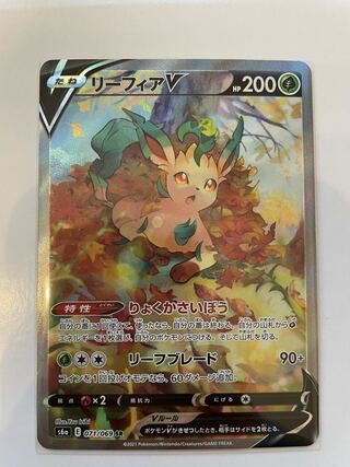 リーフィア V sr