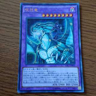 けんたろー様専用 呪符竜