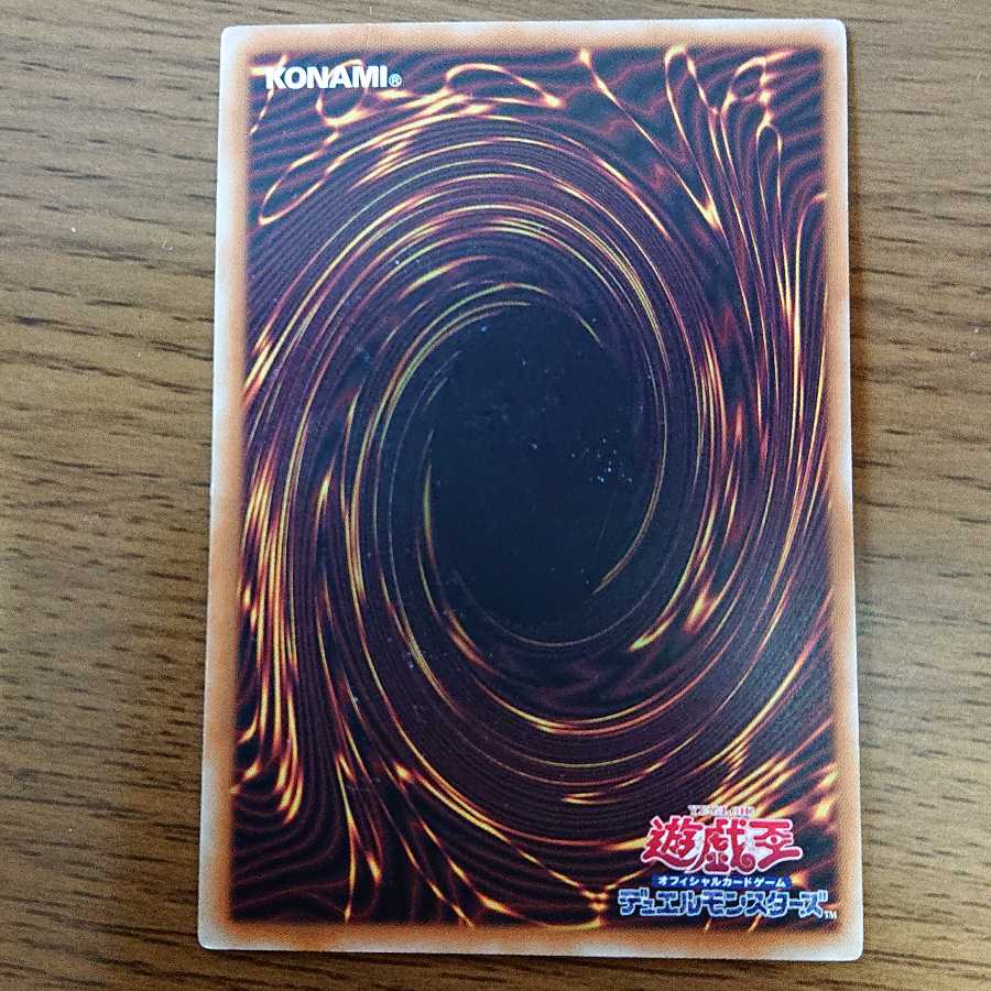 けんたろー様専用 呪符竜