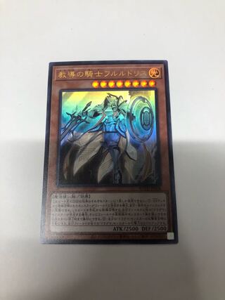 教導の騎士フルルドリス