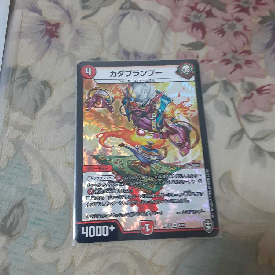 カダブランプー VR