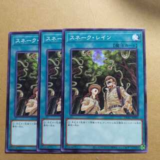 スネーク・レイン ノーマル