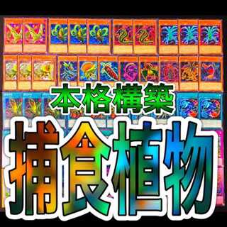 遊戯王 捕食植物 デッキ プレデター・プランツ キメラフレシア スリーブ付き