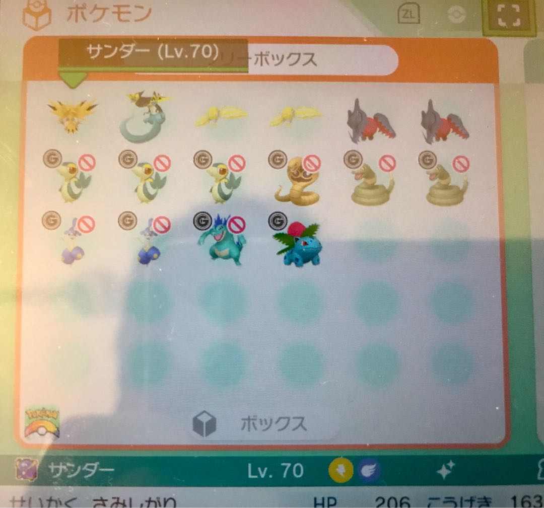 ポケモン　ソードシールド　菱形色違いレジエレキ　オシャボ入り