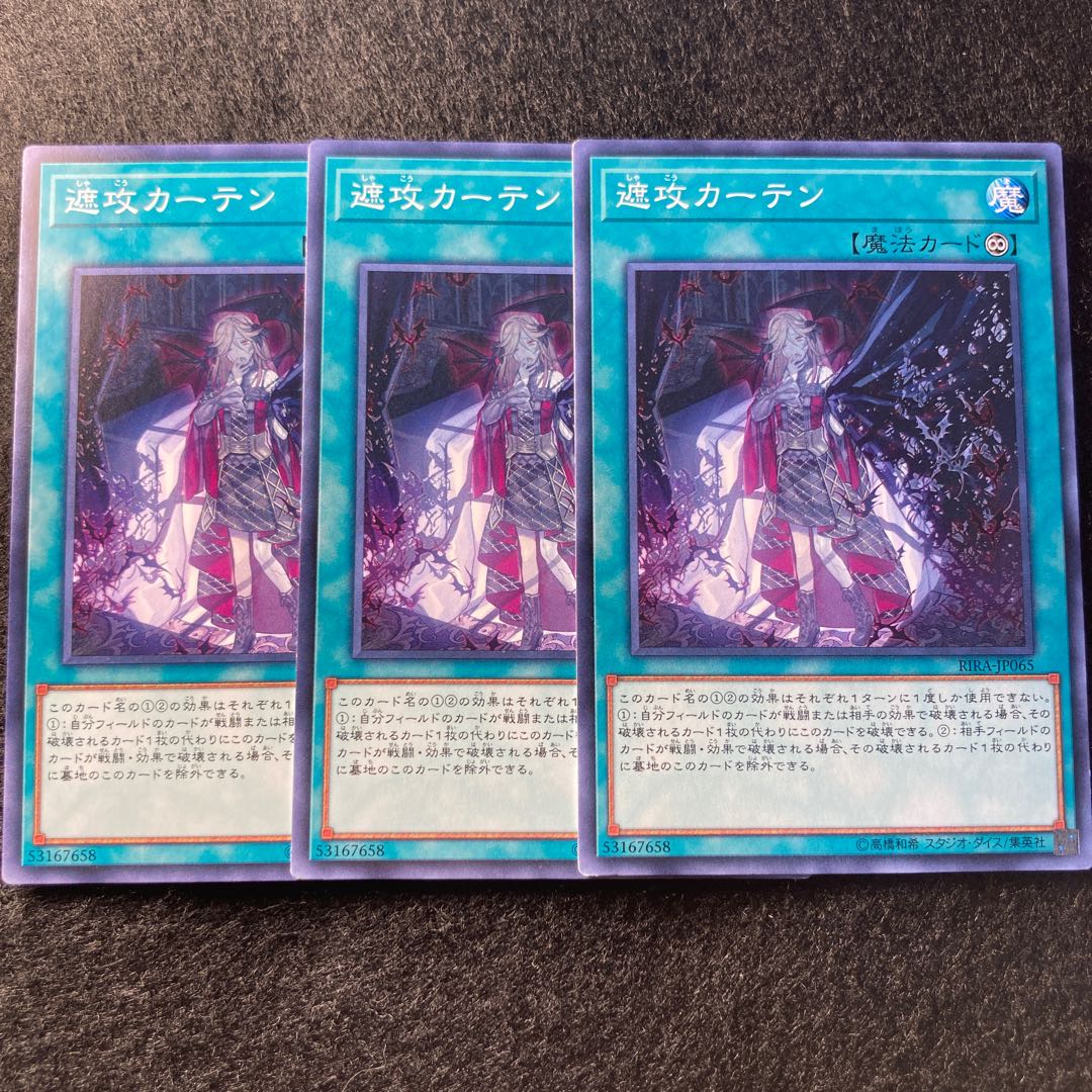 遮攻カーテン　#028