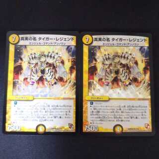 真実の名 タイガー・レジェンド VR